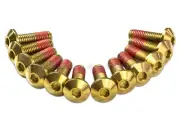 12x Yamaha XV1900 2006-2013 Gold Titanium Front Disc Bolts Screws Threadlock