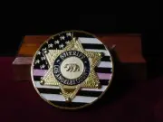 Los Angeles Sheriff Challenge Coin- Tan Green and Pink