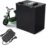 48V 20AH Lithium Battery 48V 30AH Motorcycle Battery with Charger and HD LCD Display and Handle for 1000W-1400W Motor Kits,48v30ah