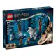 LEGO樂高積木 76432 202403 哈利波特系列 - Forbidden Forest™: Magical Creatures