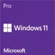 微軟 Microsoft Windows Pro 11 繁中專業-64位元隨機版