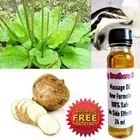 L2 MALE MEN ENLARGER GROWTH OIL BIGGER GROW LONGER HARDER THICKER MAN SIZE 24 ml