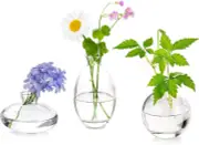 Glass Bud Vases Set of 3, Hewory Cute Clear Small Vases Handmade, Mini Glass Flo