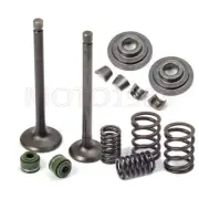 Intake Exhaust Valves with Seals Spring for Honda XR75 XR80 XR100 XR80R XR100R