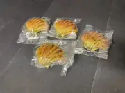 Gold Sea Shells for Crafting