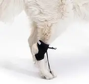 Ortocanis Proprioceptive Correction Bandage for Dogs - XS