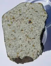Vinales meteorite slice 13.58 grams 41x32x4mm COA with crust shock veins