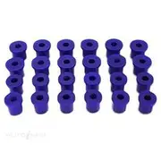 SuperPro Leaf Spring Bushing Kit - KIT018HK