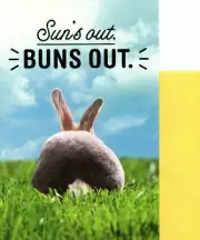 Funny Happy Easter Springtime Sun Is Out Bun Buns Bunny Is Out Greeting Card