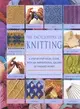 Encyclopedia of Knitting Techniques: A Step-by-step Visual Guide, With an Inspirational Gallery of Finished Techniques