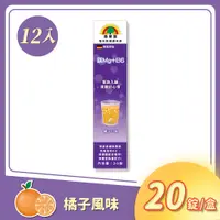 在飛比找PChome24h購物優惠-森萊富 SUNLIFE 鎂Mg+B6 發泡錠-橘子口味 20