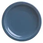 Syracuse China 903032011 Cantina Blueberry 10.25 Plate - 12 / CS"