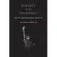 Poverty in the Pandemic: Policy Lessons from Covid-19: Policy Lessons from Covid-19