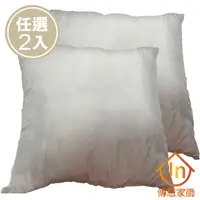 在飛比找momo購物網優惠-【J&N】台灣製抱枕心60*60-800克(2入/1組)
