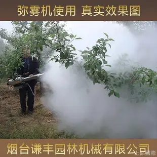 【限時下殺】閑農寶彌霧機汽油打果樹水霧電動高壓彌霧農業機械