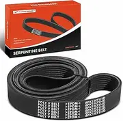 Engine Serpentine Drive Belt Compatible with Blue Bird, International Harvester, Mack, Peterbilt, Sterling Truck & Thomas Cars - Vision School Bus, 5600i, LEU, 320 & More