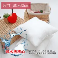 在飛比找ETMall東森購物網優惠-【Embrace英柏絲】水洗抱枕 60x60 枕心/裸枕-L