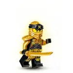 LEGO 樂高 71769 71774 忍者 NINJAGO 人偶 拆賣 全新 COLE