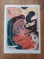 Barrier Reef Trepang The Great Barrier Reef of Australia (1893) Poster 18x24in