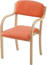 Takeda Corporation TK-SKC4863OR (Chair, Stack, Armrest) Orange, 21.3 x 21.9 x 32.7 inches (54 x 55.5 x 83 cm), Stacking Chair, Orange