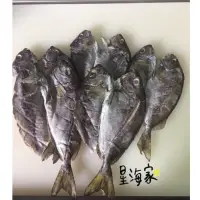 在飛比找蝦皮購物優惠-星海家澎湖名產🔍澎湖限量㊣象魚一夜乾（一夜干）臭肚魚一夜干 