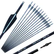 Carbon Arrow 28 Inch 30 Inch 31 Inch Spine 500 with Replaceable Arrowhead