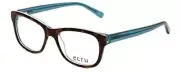 Ecru by Vivid Designer Reading Glasses Morrison in Tortoise-Blue +3.75