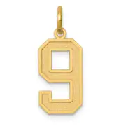 14k Yellow Gold 14k Medium Satin Number 9 Charm