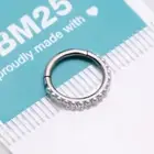 Implant Grade Titanium Pearlescent Beads Lined Clicker Hoop Ring