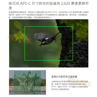 SONY A7R IV 單機身 台灣索尼 公司貨 ILCE-7RM4 A7R4 A7 R IV 全片幅無反