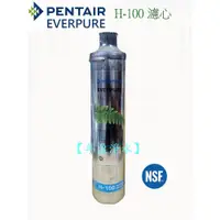 在飛比找PChome商店街優惠-【年盈淨水器】美國原裝 Pentair Everpure H