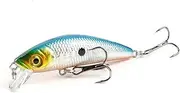 Lifelike 3D Eyes Hard Bass Fishing Lure Crankbait with 6 Hooks for Saltwater & Freshwater