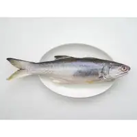 在飛比找ETMall東森購物網優惠-(天和鮮物)台灣在地鹹水午仔魚 150g