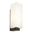 Cougar Lighting Ramon Interior Wall Light in Black