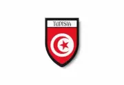 PATCH PATCHES EMBLEM IRON ON GLUE PRINT FLAG world crest tunisia