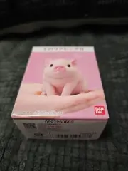 Pig Piglet Tenori Friends 9 Figure Animal Sofubi Collection Bandai Japan Toy 09