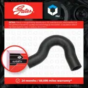 Radiator Hose fits AUSTIN PRINCESS Lower 1.7 1.8 2.0 76 to 82 Coolant Gates New