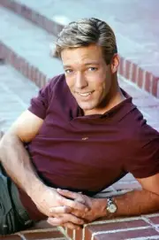 RICHARD CHAMBERLAIN HANDSOME IN POLO COLOR 24x36 POSTER
