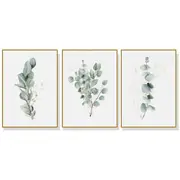 50Cmx70cm Eucalyptus Plant 3 Sets Gold Frame Canvas Wall Art