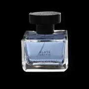 Banana Republic Slate Arctic EDP
