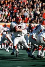 Bob Berry Of The Atlanta Falcons Drops Back To Pass 1971 NFL OLD PHOTO 4