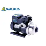 公司貨 大井泵浦 WALRUS HQ200 1/4HP 電子穩壓加壓馬達器 加壓馬達 加壓機 不鏽鋼多段離心式 靜音低噪