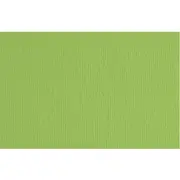 Fabriano Elle Erre Artist Paperboard 220gsm Pea Green