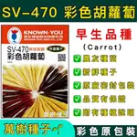 【萬樹種子】SV-470 彩色胡蘿蔔 特選蔬果種子 農友種苗 彩色密封 原廠包裝