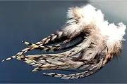 Tigofly 30 pcs Natural White Black Barred Grizzly Rooster Hackles Streamer Fly Tying Hackle Feathers Materials