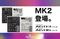 在飛比找露天拍賣優惠-【阿婆K鵝 】新款 YAMAHA 山葉 AG03 AG06 