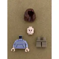 在飛比找蝦皮購物優惠-LEGO 樂高 人偶 妙麗·格蘭傑 哈利波特 75955