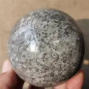 615g Beautiful Natural Polished Ocean jasper crystal sphere specimen #864