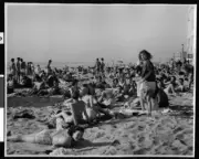 View Of Sunbathers On Venice Beach February 23 1947 1955? California Old Photo