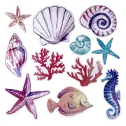 Sea Shell Stickers for Wall Decoration Adhesive Easy to Remove